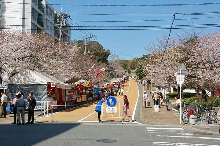 西公園 福岡市中央区 の桜 九州神社紀行 ブログ 西公園 福岡市中央区 の桜 九州神社紀行 ブログ