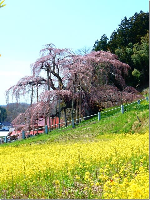 DSCN0367 DSCN0367