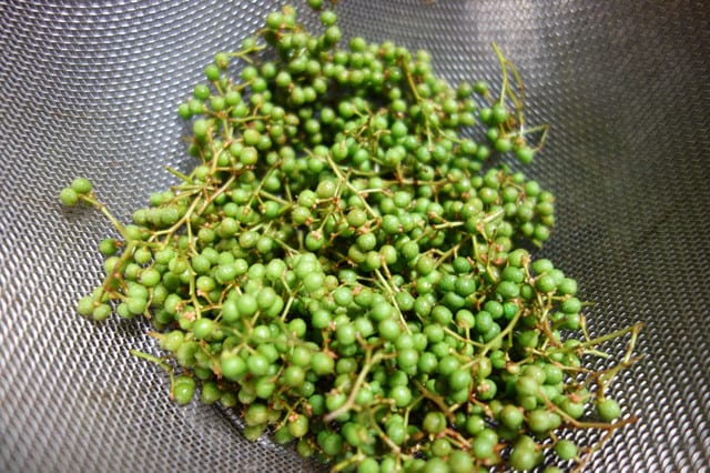 実山椒の水煮 Native Of ehime 実山椒の水煮 Native Of ehime