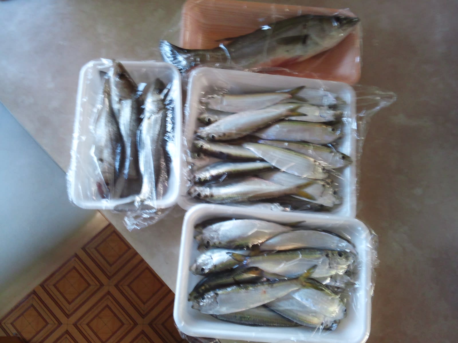 ママカリ 釣り 料理 ママカリ 釣り 料理