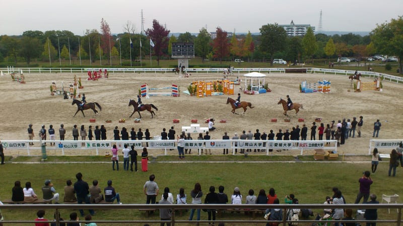 全日本学生馬術大会 障害飛越競技 結果 三木ホースランドパーク