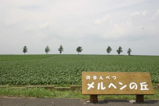 女満別メルヘンの丘の韓国語看板 函館深信 はこだてしんしん Communication From Hakodate