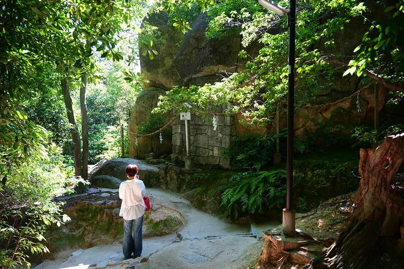 2025.2.7白玉磐龍 2025.2.7白玉磐龍