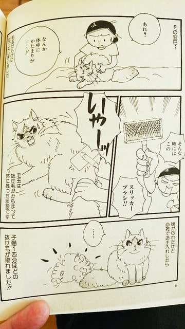 もふっとさせて 桜沢エリカ マンガの中のネコ探し ネコマンガ データベース