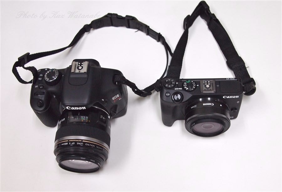 Ef M22mm F2 Stmゲット 拡大afでお手軽マクロ Take It Easy パパールの雑記帳 別館 Ef M22mm F2 Stmゲット 拡大afでお手軽マクロ Take It Easy パパールの雑記帳 別館