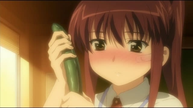 お前たち よくもこんなキ ガイアニメを 暇猫のブログ
