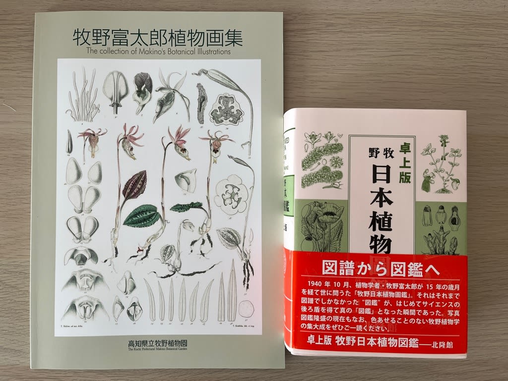 卓上版の図鑑 - kebaneco日記