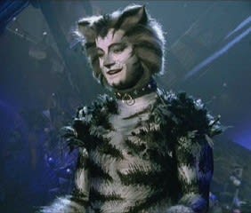 Cats キャッツ トリビア ビデオ編 －Cats Video Trivia！ - M for