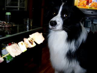 焼き鳥 銀次郎 犬
