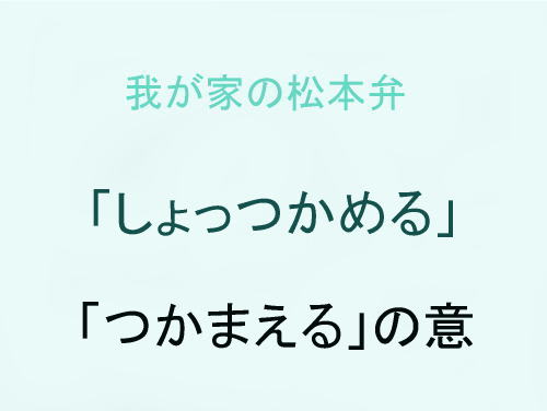 我が家の松本弁　「しょっつかめる」