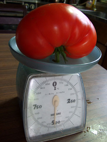 トマト一個って大体何グラムぐらいですか 黄昏れたフクロウ