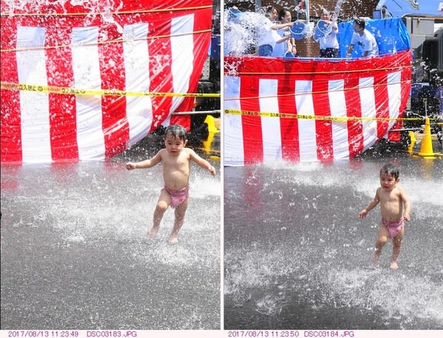 富岡八幡宮例大祭 深川八幡祭り 都内散歩 散歩と写真