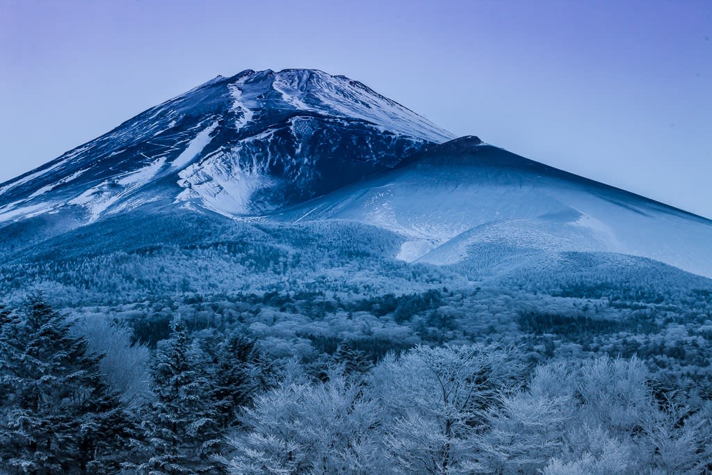 霧氷と富士の写真