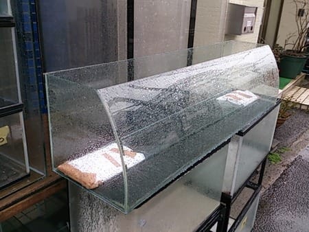 中古アクアシステム10 300 300 ガラス水槽 熱帯魚店モンスターアクアリウム 川口店 買取販売情報 中古アクアシステム10 300 300 ガラス水槽 熱帯魚店モンスターアクアリウム 川口店 買取販売情報