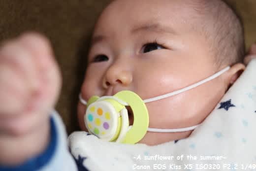 おしゃぶりマスクー 夏のひまわり