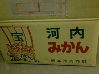 いただきもの河内みかん