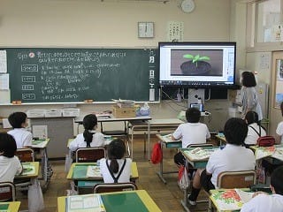 ９月１日 植物のたね ３年理科 白山小学校ブログ