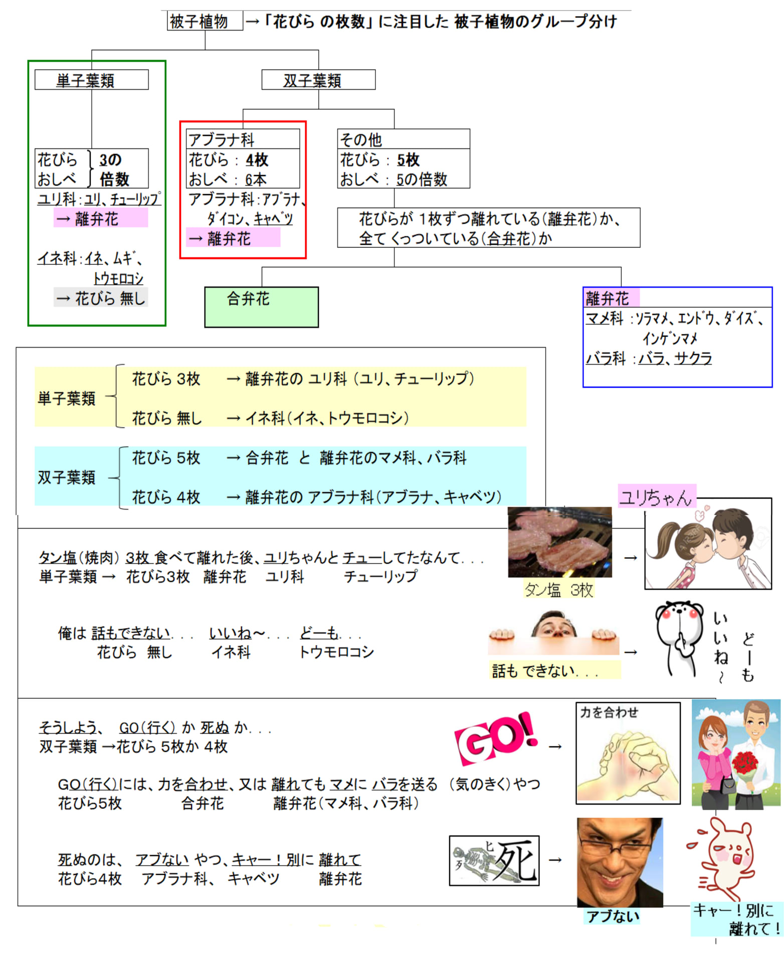 中学受験理科暗記 生物分野 植物 花の分類 は語呂合わせが有効 中学受験理科 生物分野 植物 花の分類 暗記は語呂合わせ で覚える暗記方法が絶対お勧め 中学受験理科暗記は 語呂合わせ満載の最強まとめノート教材で 大幅成績アップを実現 理科暗記の最強まとめ