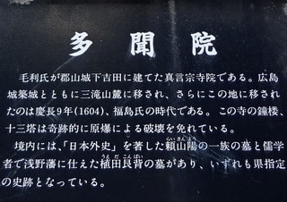説明版