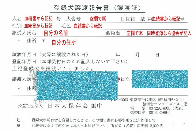 そろそろ展覧会 柴犬 鉄のブログ そろそろ展覧会 柴犬 鉄のブログ