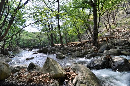 韓国旅行、巨済