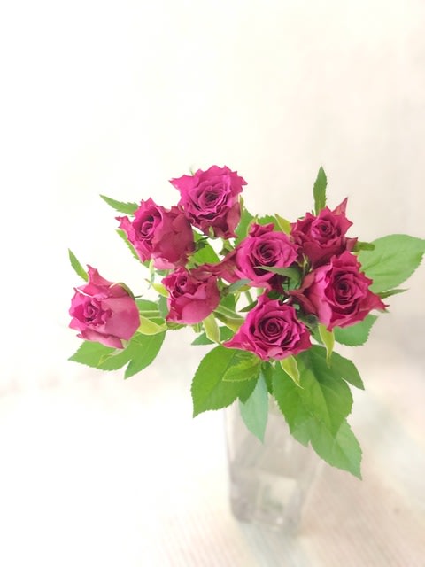 ブルーベリー 花のある生活