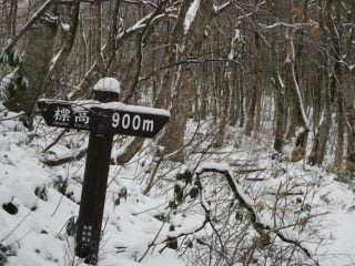 山の神さま目指して 山の神さま目指して