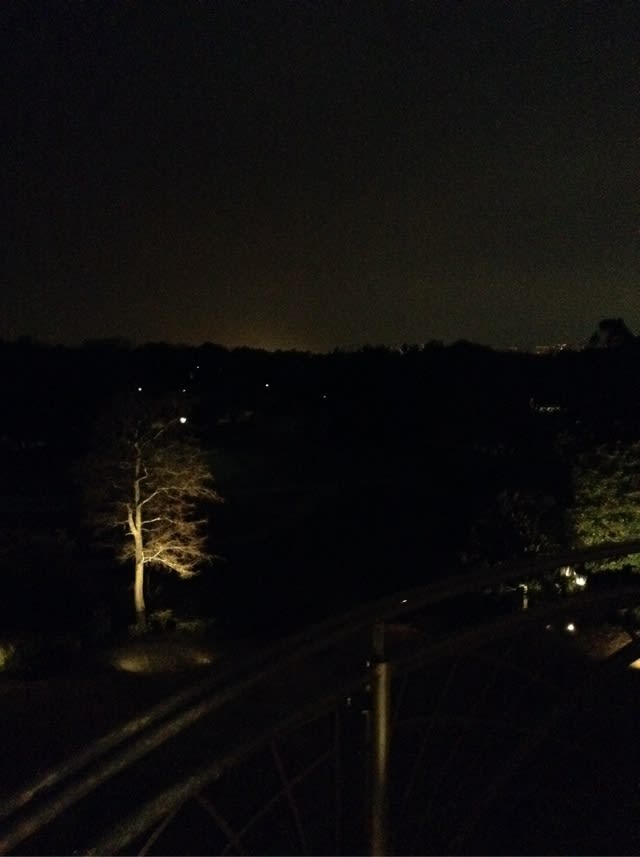 夜の葛西臨海公園 旅行とクリスマスマルクト 夜の葛西臨海公園 旅行とクリスマスマルクト