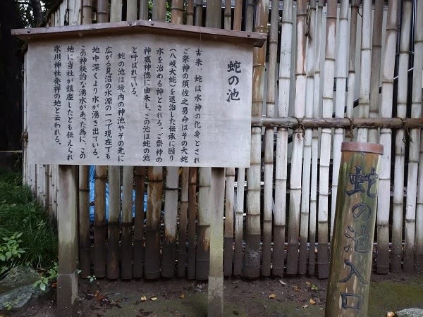 グレートリセット=縄文がえり〜大宮氷川神社の「蛇の池」参拝で感じたこと〜 - 虹パパの日記