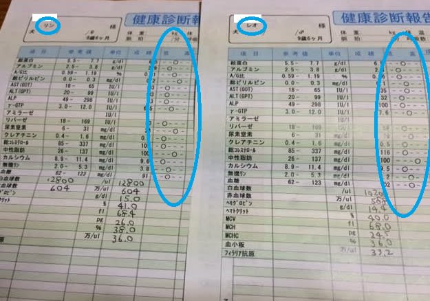 血液検査結果報告 リンレオ日記 ふたごのチビポメ 血液検査結果報告 リンレオ日記 ふたごのチビポメ