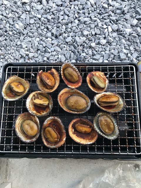マツバガイの美味しい食べ方 行縢探検倶楽部2 マツバガイの美味しい食べ方 行縢探検倶楽部2