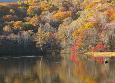 戸隠高原 鏡池の紅葉 物見遊山ブログ記