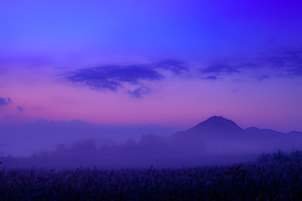 夜明け前の赤井谷地の写真