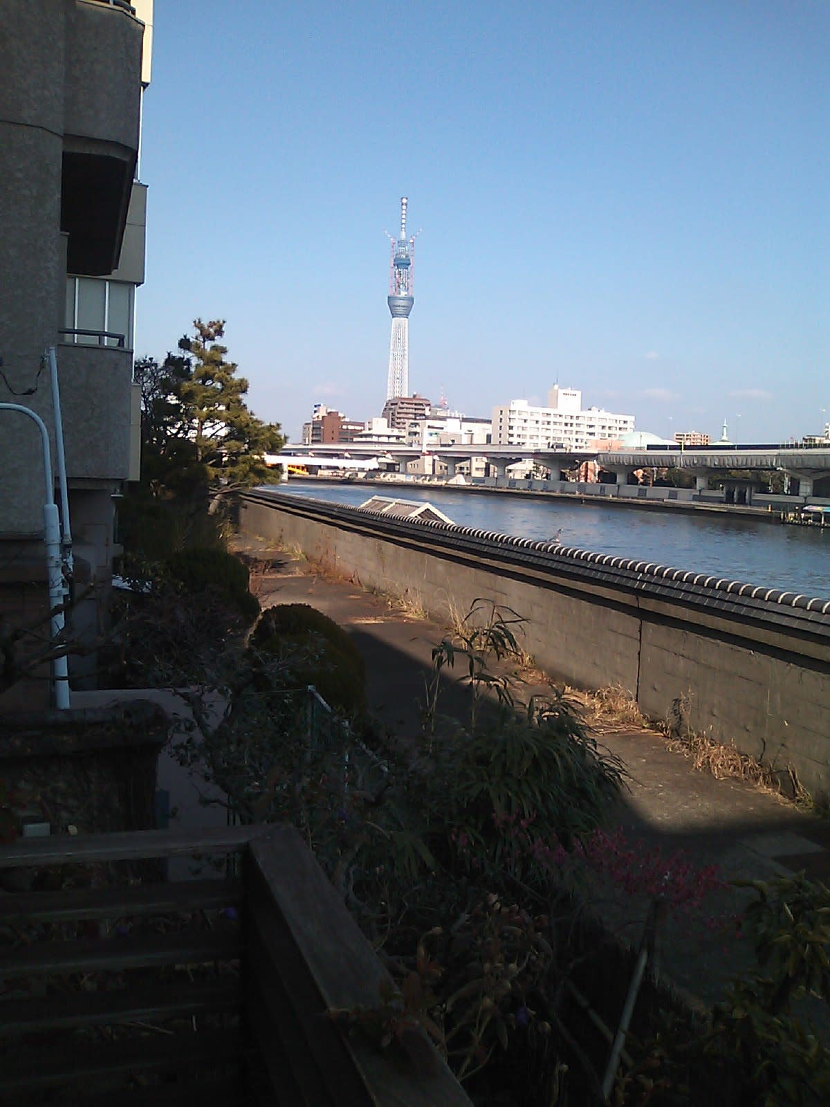 隅田川柳橋沿いのカフェへ - 馬鹿も一心！