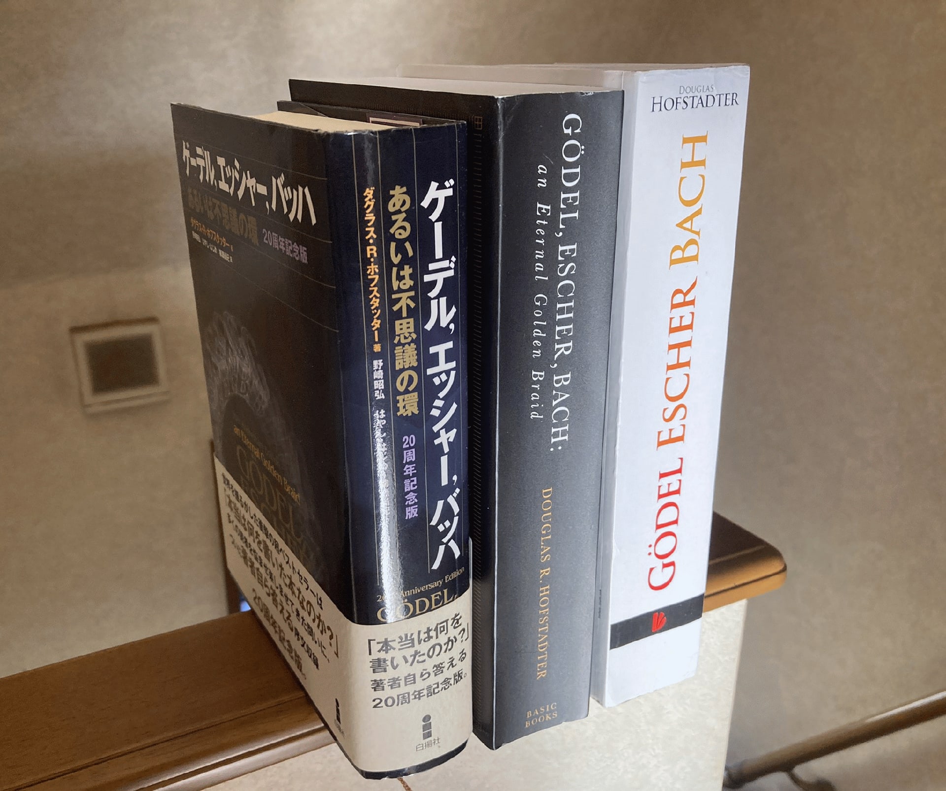 ゲーデル、エッシャー、バッハ―あるいは不思議の環: ダグラス ゲーデル、エッシャー、バッハ―あるいは不思議の環: ダグラス