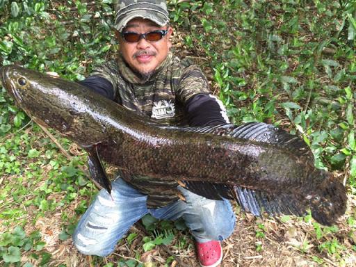 Breath Sounds 8ページ目