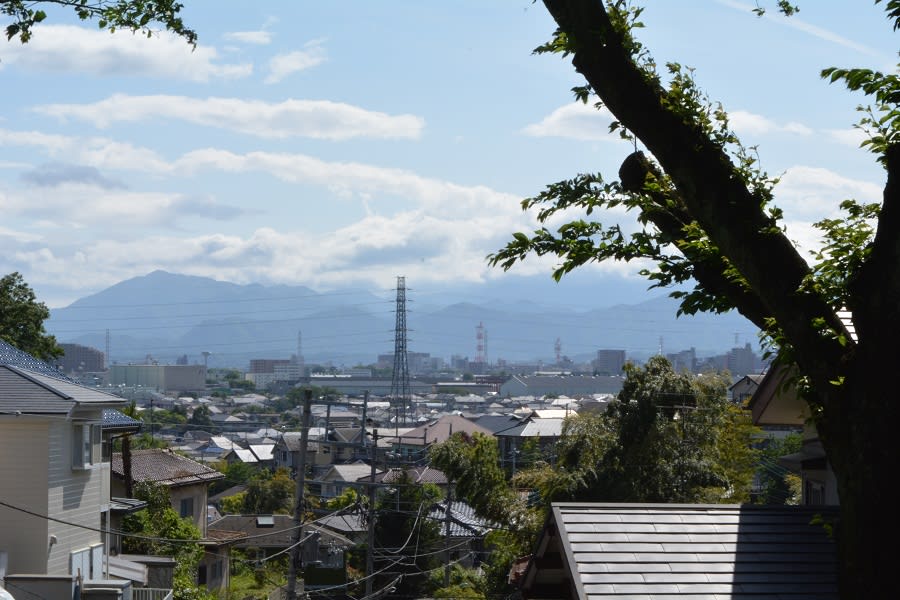 尾根緑道散策の画像