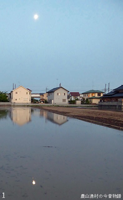 田の水面に映る月 おにぎり２個の里みち歩き 農山漁村の今昔物語