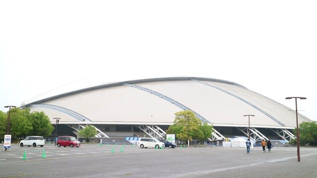 2年ぶりのホームゲームは変わらず最高でした 亀と鴎の挑戦 2年ぶりのホームゲームは変わらず最高でした 亀と鴎の挑戦