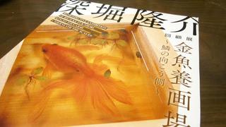金魚が綺麗ですね W ポッ ツカナ制作所 きまぐれ日誌