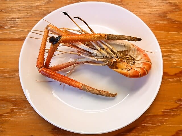 釣り堀カフェ Catch And Eat 吉祥寺店 で釣りながら一杯 年2月2日 マース 塩 のブログ