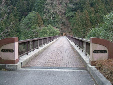 鴨足草 ゆきのした 奥多摩 白丸駅近く スピッツ日記