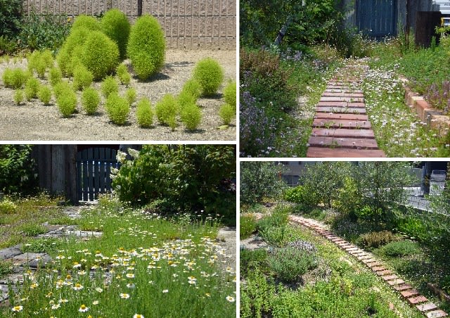 6月のハーブガーデン Welcome To My Vegetable Herb Garden 6月のハーブガーデン Welcome To My Vegetable Herb Garden