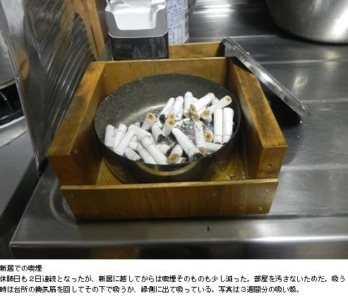 怖い新型流行性感冒 ガジ丸が想う沖縄 怖い新型流行性感冒 ガジ丸が想う沖縄