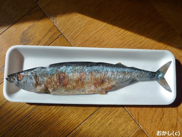 焼きサンマ チョコ って 何だ 地球国を創ろう