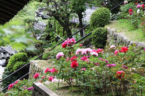 R_20160512IMG_4655.JPG