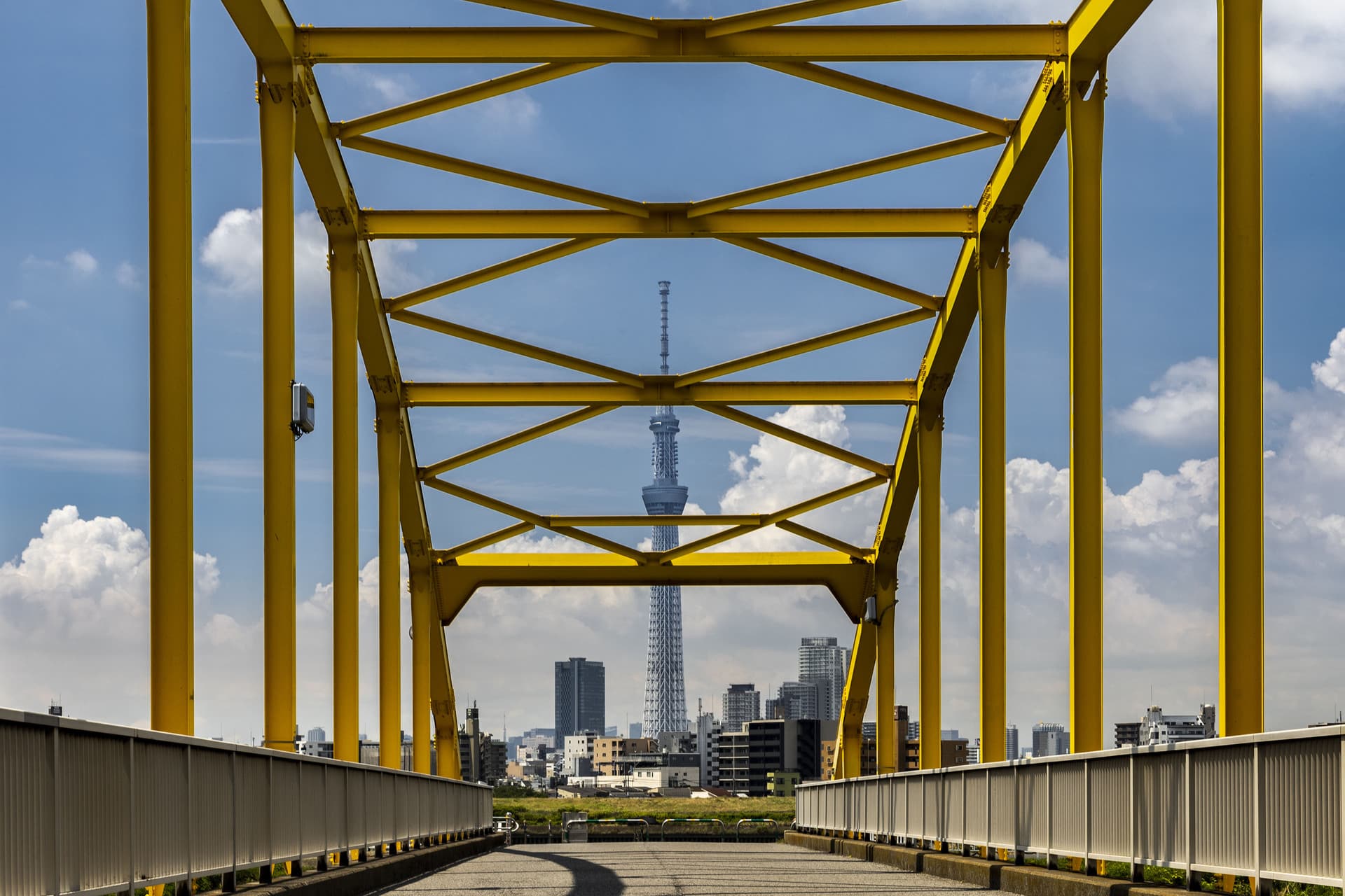 夏の荒川土手 彩撮々 いろとりどり My Favorite Photograph 夏の荒川土手 彩撮々 いろとりどり My Favorite Photograph