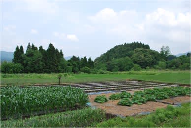 Photo_2 Photo_2