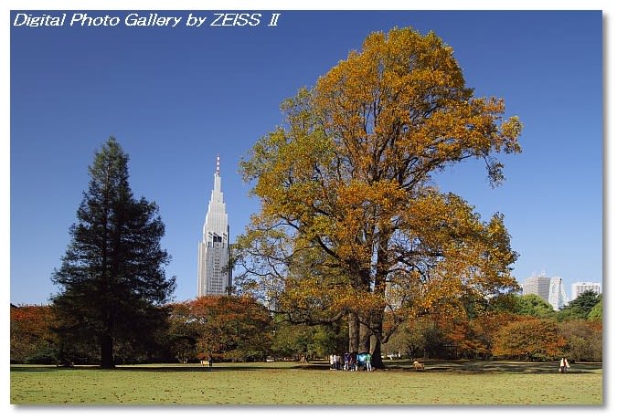 秋の新宿御苑 3 Digital Photo Gallery By Zeiss