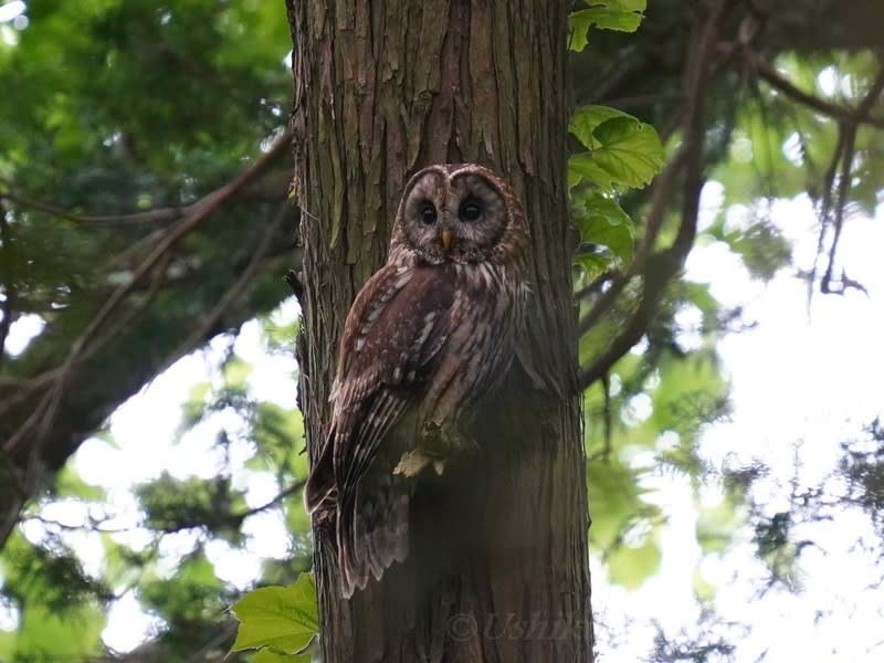 35e734331503256dd77d588f29183f